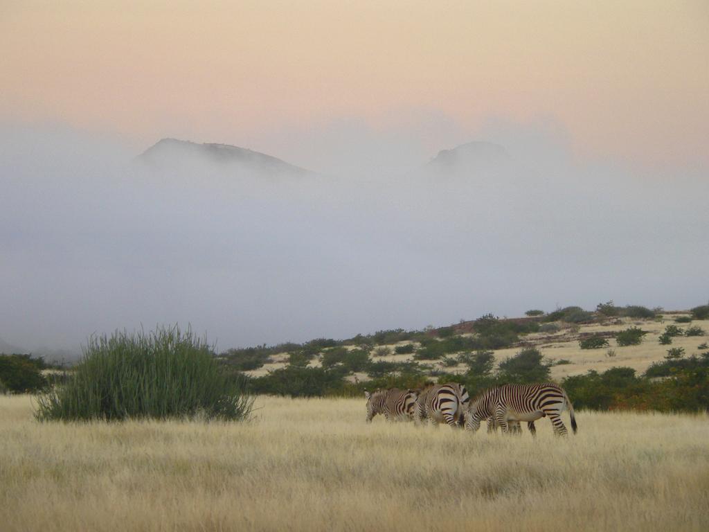 Etendeka Mountain Camp ดามาราลันด์ ภายนอก รูปภาพ