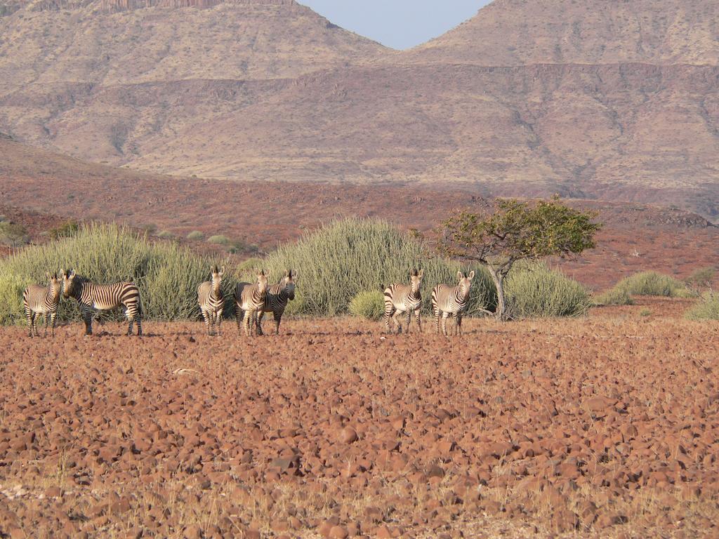 Etendeka Mountain Camp ดามาราลันด์ ภายนอก รูปภาพ