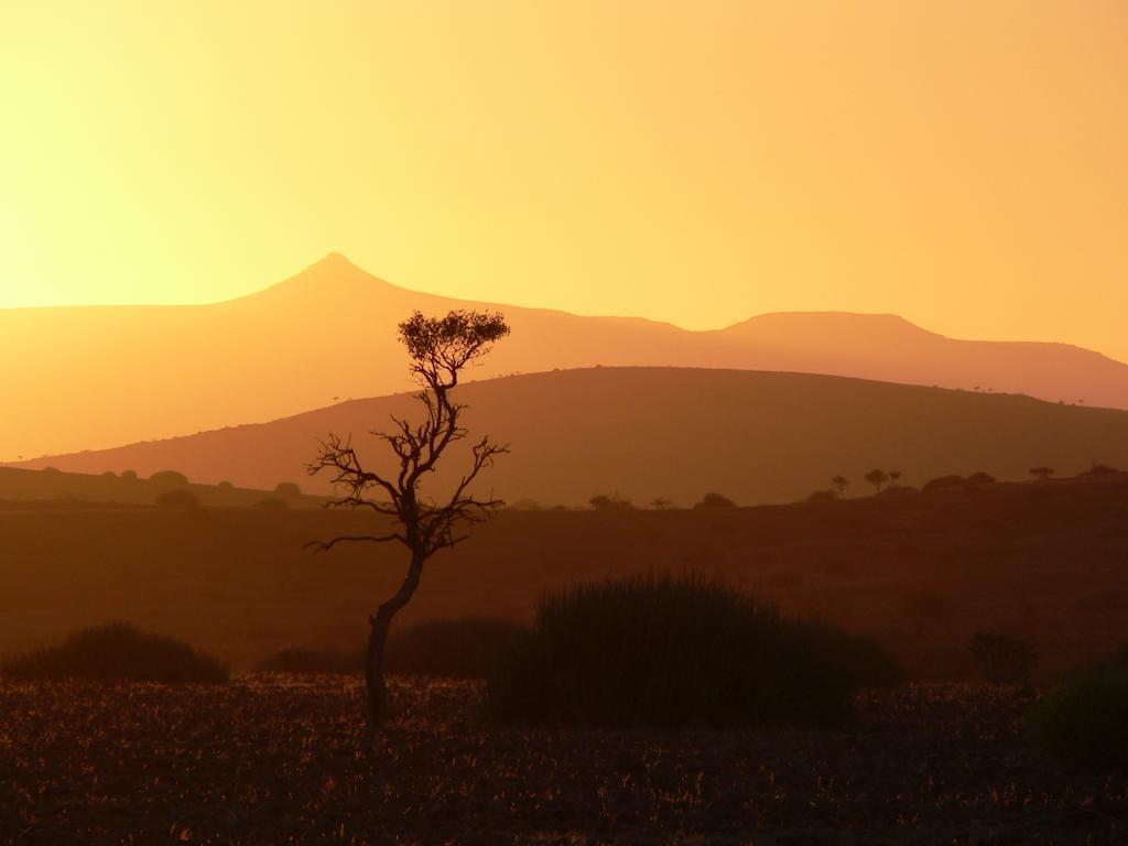 Etendeka Mountain Camp ดามาราลันด์ ภายนอก รูปภาพ
