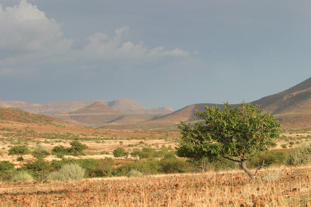 Etendeka Mountain Camp ดามาราลันด์ ภายนอก รูปภาพ